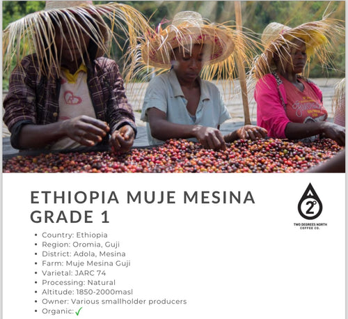 ETHIOPIA MUJE MESINA GRADE 1