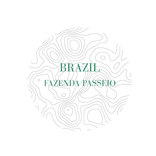 BRAZIL FAZENDA PASSEIO