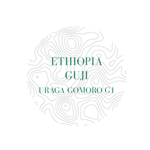 ETHIOPIA GUJI URAGA GOMORO G1